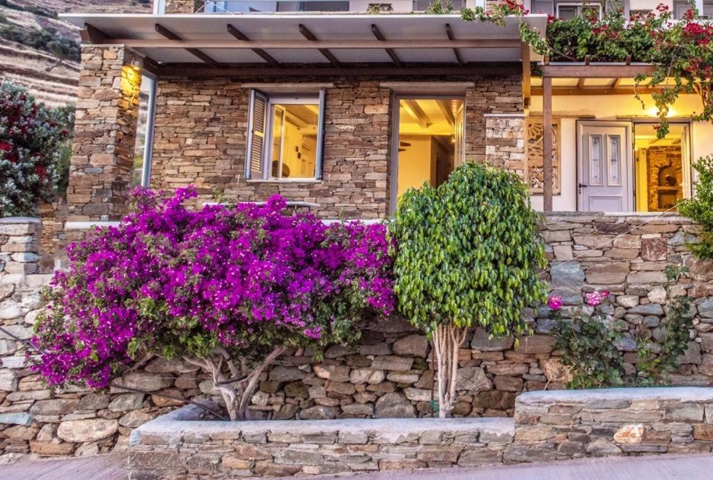 Villa Oikia Petra Agios Ioannis  Esterno foto