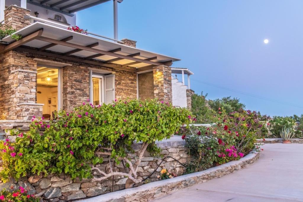 Villa Oikia Petra Agios Ioannis  Esterno foto