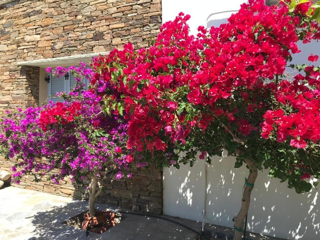 Villa Oikia Petra Agios Ioannis  Esterno foto
